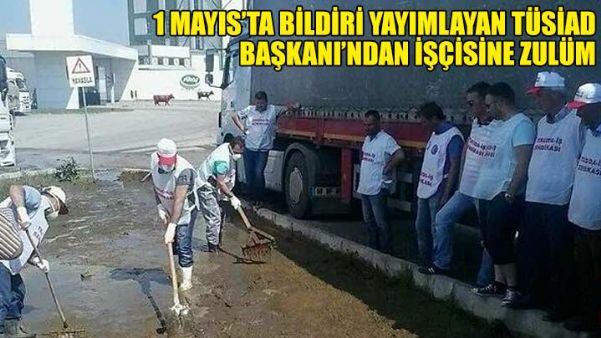 SÜTTEN ÇIKMIŞ KARA KAŞIK / AKŞAM GAZETESİ