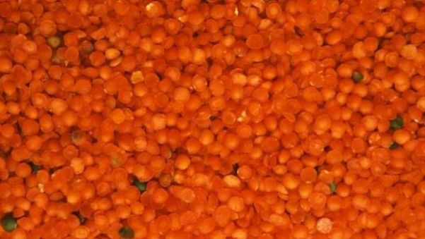 MERCİMEK EMEKLİYİ DÖRDE KATLADI