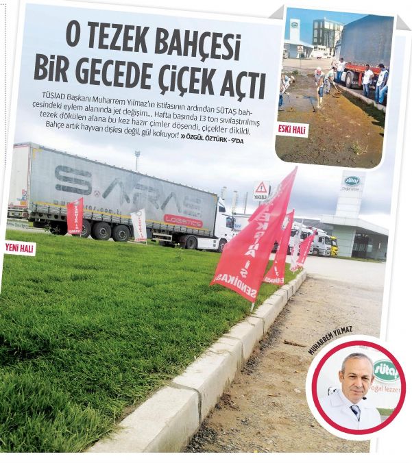 O TEZEK BAHÇESİ 1 GECEDE ÇİÇEK AÇTI