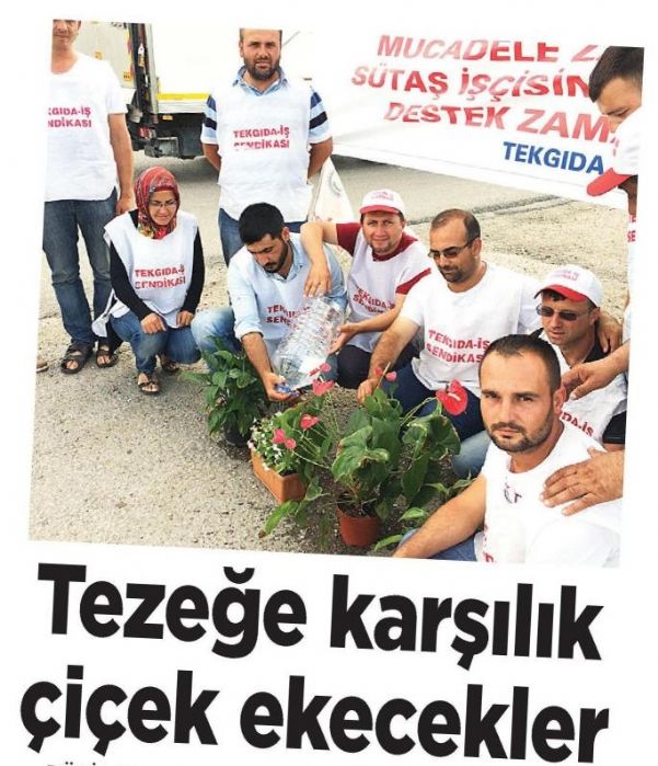 TEZEĞE KARŞI ÇİÇEK EKECEKLER