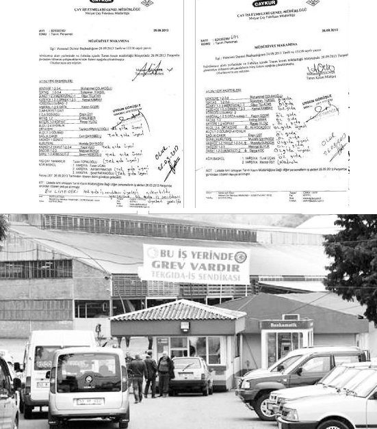 ÇAYKUR SENDİKASINA GÖRE İŞÇİ SEÇTİ