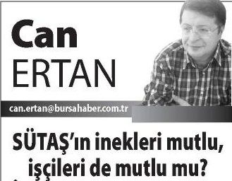SÜTAŞ’IN İNEKLERİ MUTLU, İŞÇİLERİ DE MUTLU MU?