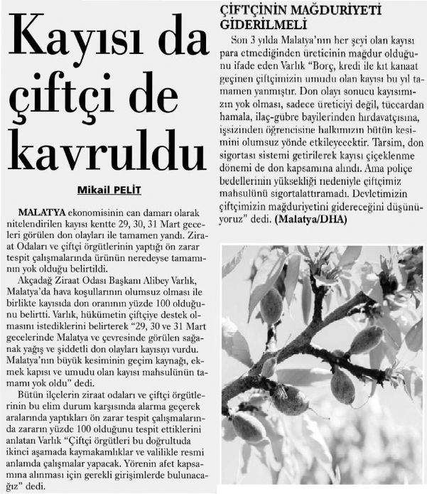 KAYISI DA ÇİFTÇİ DE KAVRULDU