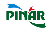 Pinar