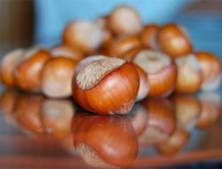 TÜRK FINDIĞI SAMBA ÜLKESİNDE