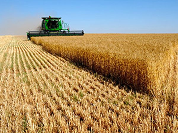 İKTİDAR, ÇÖKERTTİĞİ DOĞU’YA ÇARE ARIYOR