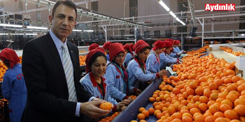 İSYANDA SÜRGÜN ETMİŞTİK 30 ÜLKEYE İHRAÇ EDİYORUZ