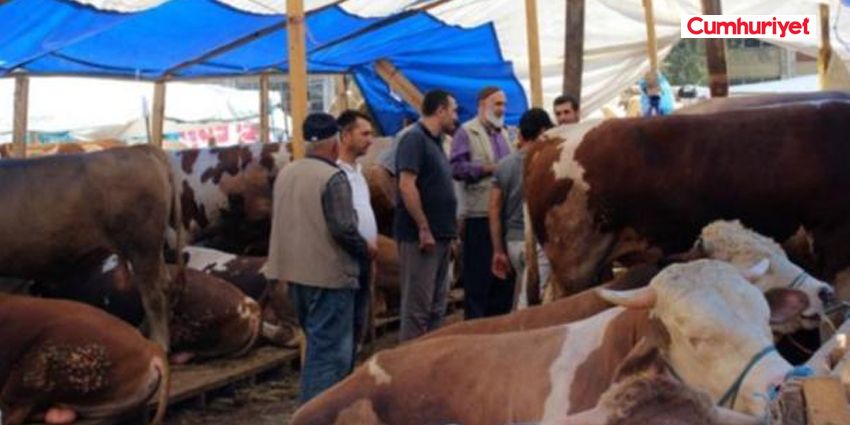 BAYRAMIN TADI KAÇTI