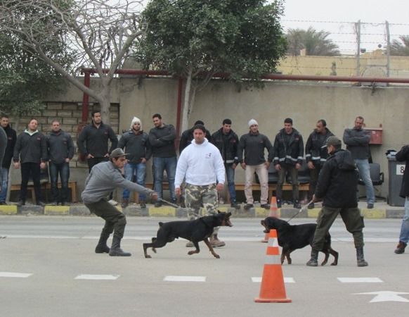 MISIR’DAKİ CARGILL VAHŞETİNE SON! / END THE CARGILL VIOLENCE IN EGYPT