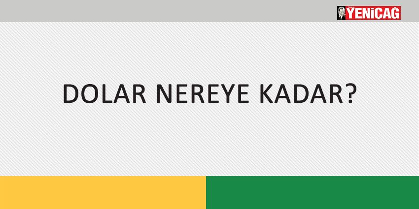 DOLAR NEREYE KADAR?
