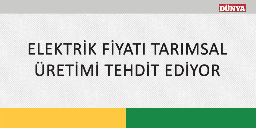 ELEKTRİK FİYATI TARIMSAL ÜRETİMİ TEHDİT EDİYOR