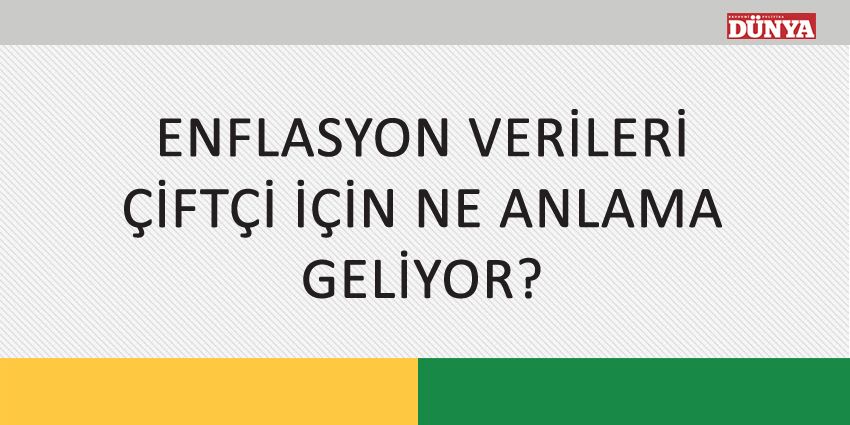 ENFLASYON VERİLERİ ÇİFTÇİ İÇİN NE ANLAMA GELİYOR?