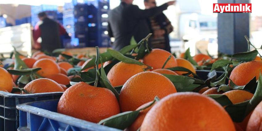 OCAK ENFLASYONUNA GIDA DAMGA VURACAK