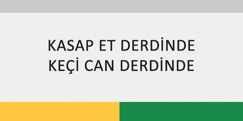 KASAP ET DERDİNDE KEÇİ CAN DERDİNDE