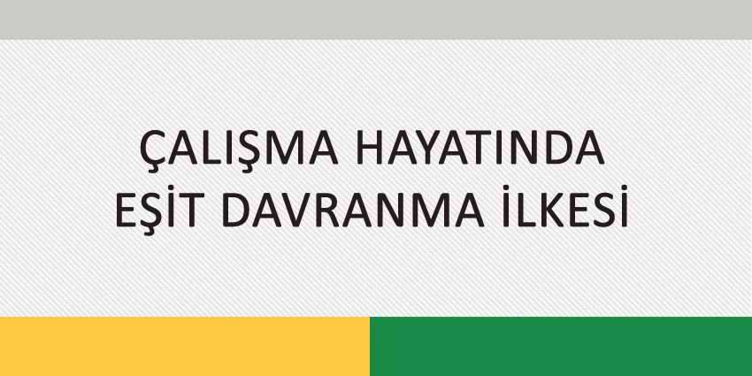 ÇALIŞMA HAYATINDA EŞİT DAVRANMA İLKESİ