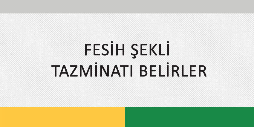 FESİH ŞEKLİ TAZMİNATI BELİRLER