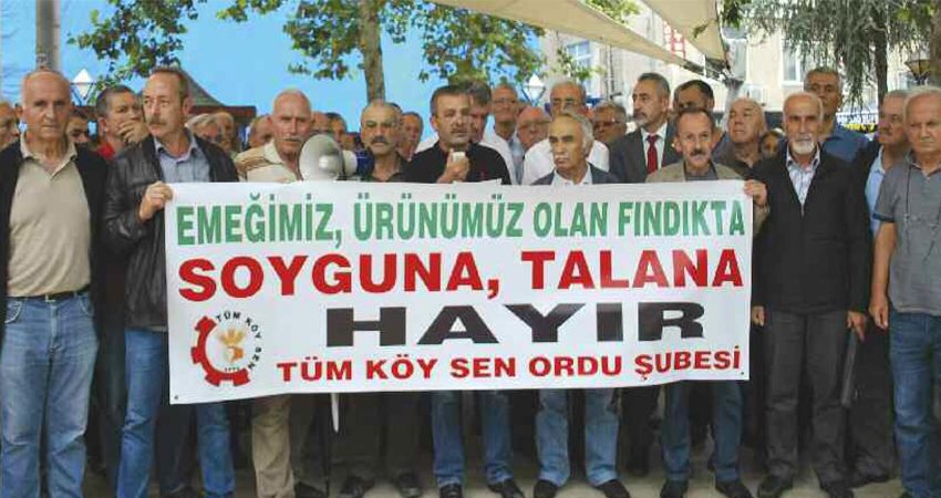 FINDIKÇILAR İSYANDA