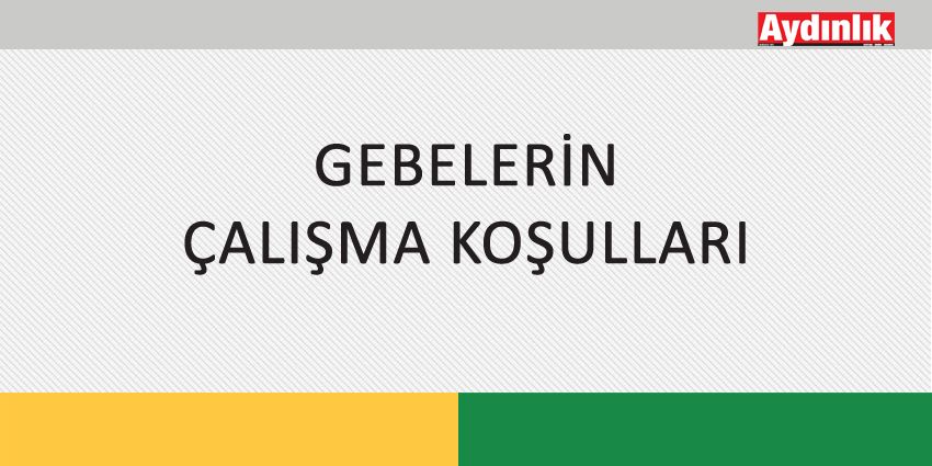GEBELERİN ÇALIŞMA KOŞULLARI