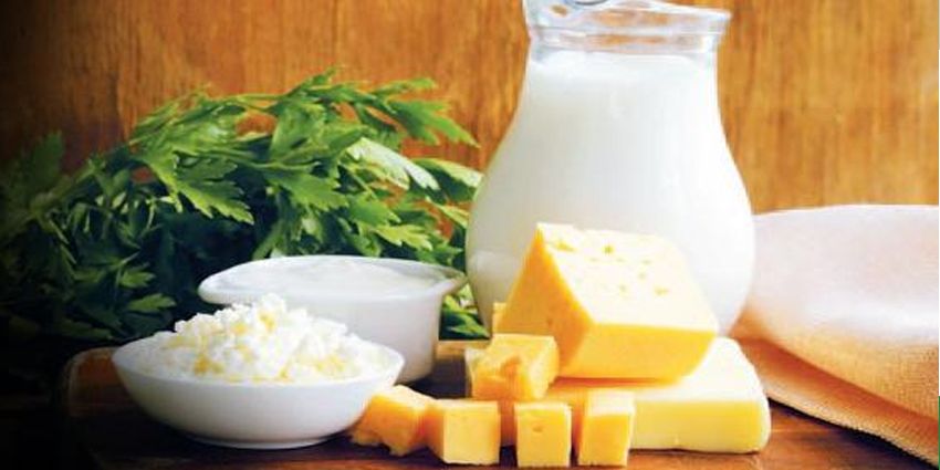 HİLELİ GIDAYA KOMİK CEZA