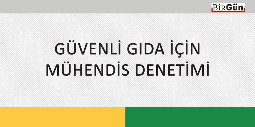 GÜVENLİ GIDA İÇİN MÜHENDİS DENETİMİ