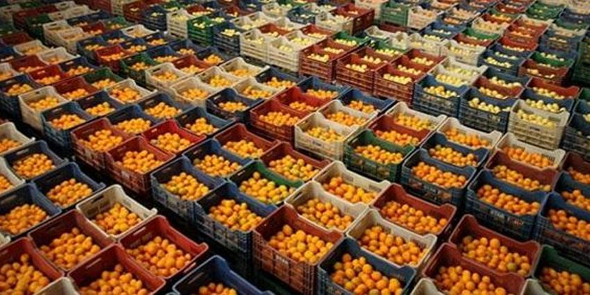 MEYVE SEBZEDE SOĞUK ZİNCİRE TEŞVİK İSTENDİ!