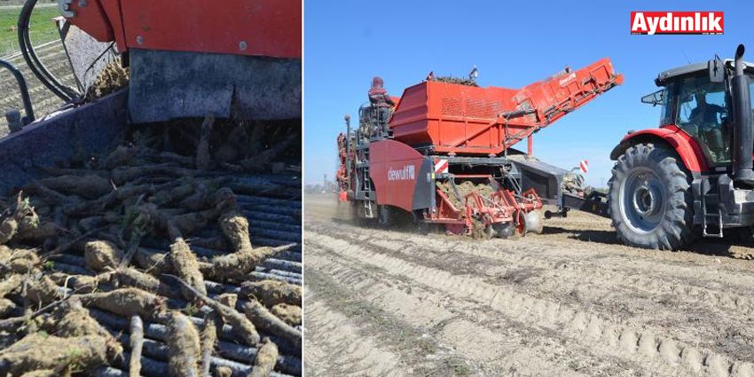 SİYAH HAVUÇ ÜRETİCİSİ ÇOK DERTLİ: FABRİKALAR ALIM FİYATINI YÜKSELTSİN