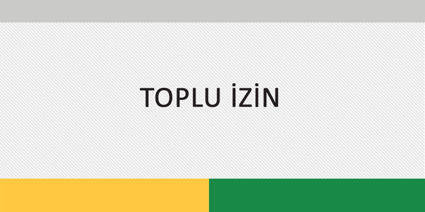 TOPLU İZİN