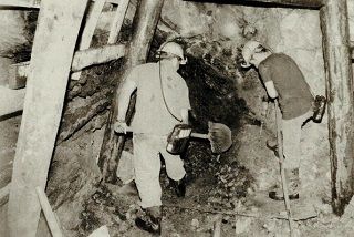 EN KANLI ÖRGÜT : KAPİTALİZM