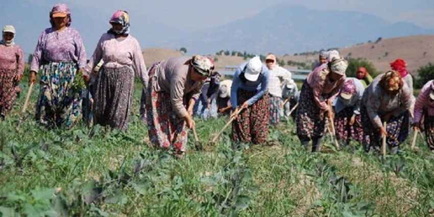 MEVSİMLİK/GEZİCİ TARIM İŞÇİLERİ İLE İLGİLİ YENİ DÜZENLEME GELDİ