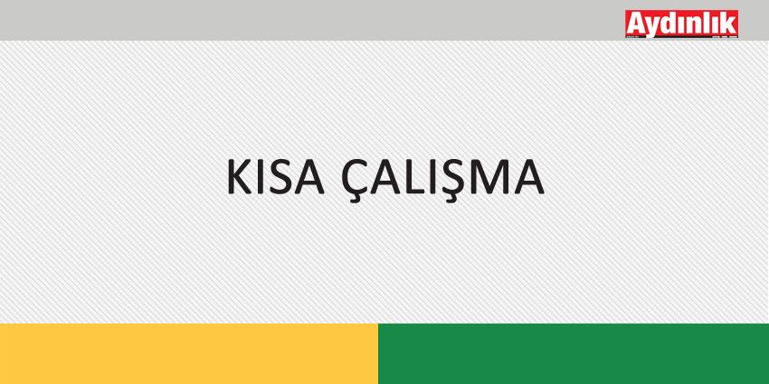 KISA ÇALIŞMA