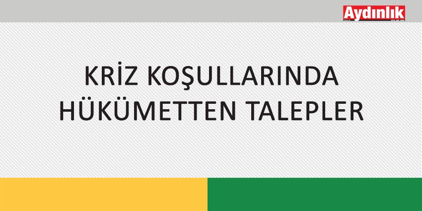 KRİZ KOŞULLARINDA HÜKÜMETTEN TALEPLER