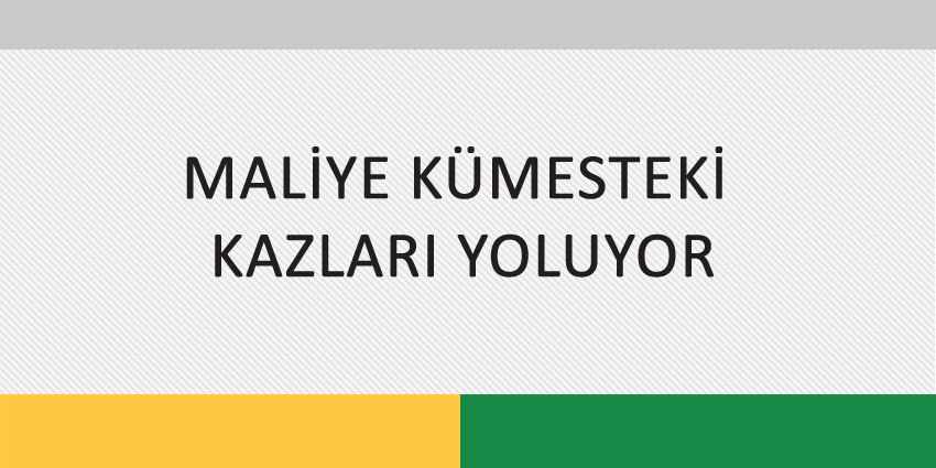 MALİYE KÜMESTEKİ KAZLARI YOLUYOR