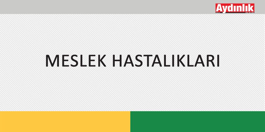 MESLEK HASTALIKLARI