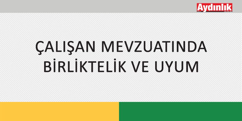 ÇALIŞAN MEVZUATINDA BİRLİKTELİK VE UYUM