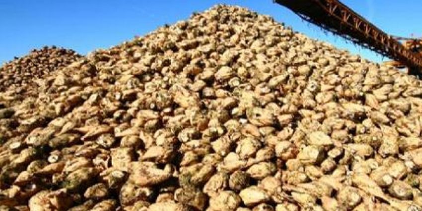 PANCAR ÜRETİCİSİ BİTİRİLECEK