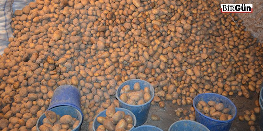 DEPOLARDA PATATES VARKEN İTHALAT NEDEN