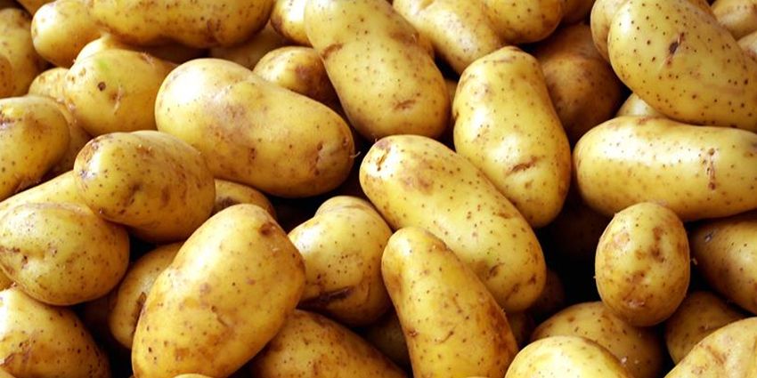 TÜRKİYE SURİYE’DEN PATATES İTHAL EDECEK