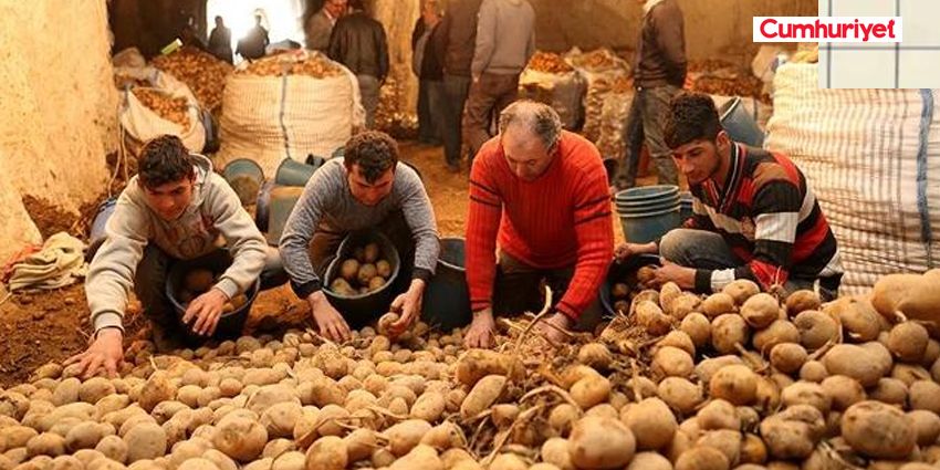 PATATES ÜRETİCİLERİNDEN ‘SIFIR GÜMRÜK’ TEPKİSİ