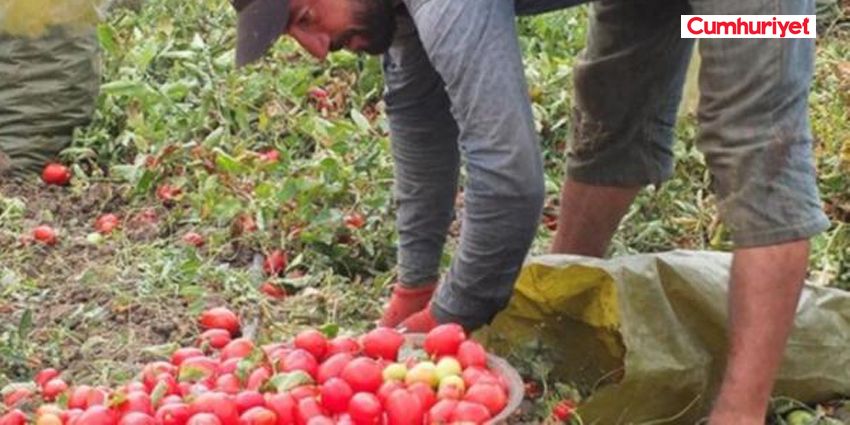 ÇARŞI PAZAR YANGIN YERİ