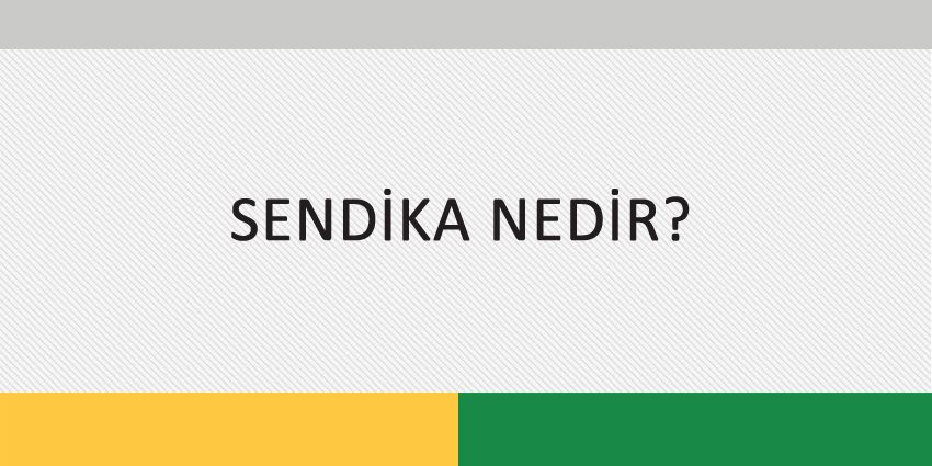 SENDİKA NEDİR?