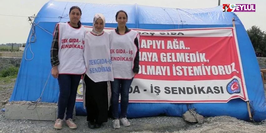 SİBAŞ MÜCADELESİNDE 97 GÜN GERİDE KALDI