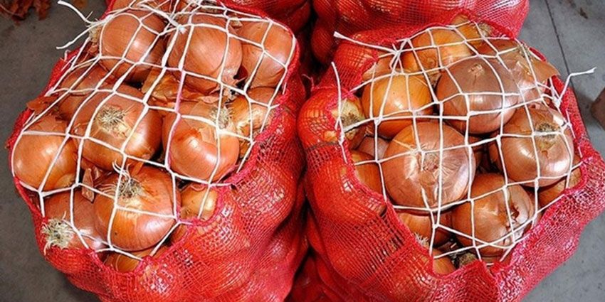 KURU SOĞAN AĞLATTI