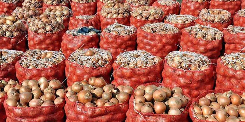 ‘KURU SOĞAN FİYATLARI ÖNÜMÜZDEKİ HAFTA DÜŞÜŞE GEÇECEK’