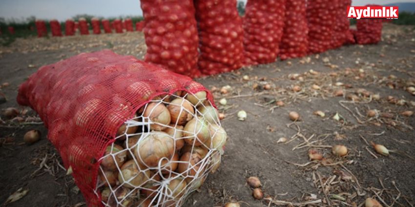 PAZARDA SOĞAN SATIŞLARI DİBE VURDU