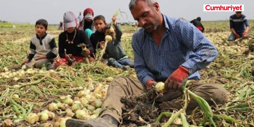 CEP YAKAN SOĞANDAN BU KEZ İYİ HABER