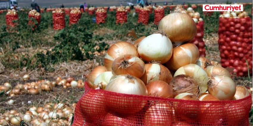 PATATES VE SOĞAN İHRACATINDA ÖN İZİN