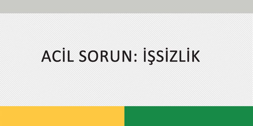 ACİL SORUN: İŞSİZLİK