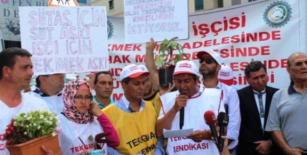 TÜMTİS’TEN AÇIKLAMA: SÜTAŞ ÜRÜNLERİNİ TÜKETMİYORUZ BOYKOT EDİYORUZ!