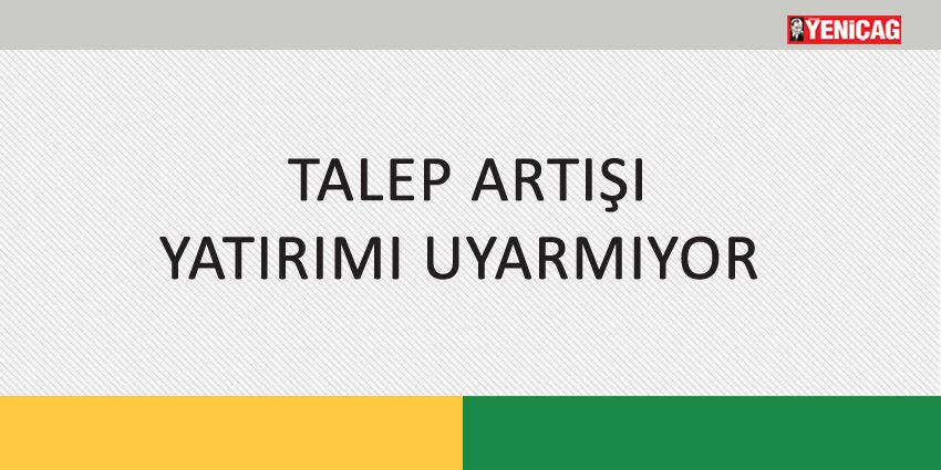 TALEP ARTIŞI YATIRIMI UYARMIYOR