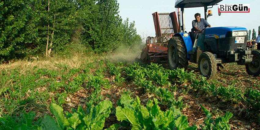 DÜNYADA DÜŞERKEN TÜRKİYE’DE ZİRVE YAPTI